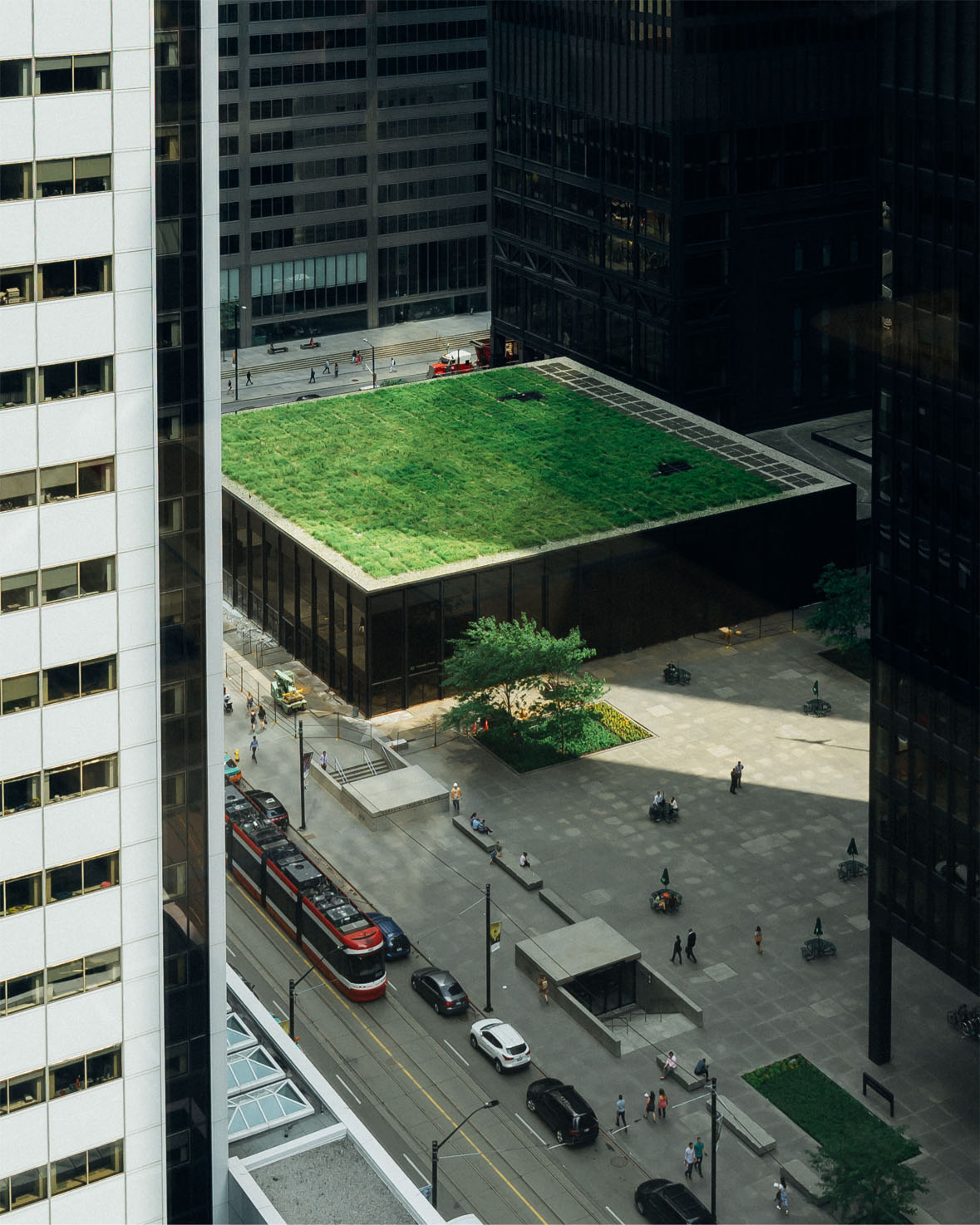 green rooftop